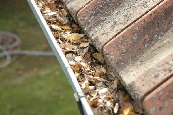 Same Day gutter cleaning columbus for Fast and Efficient Results