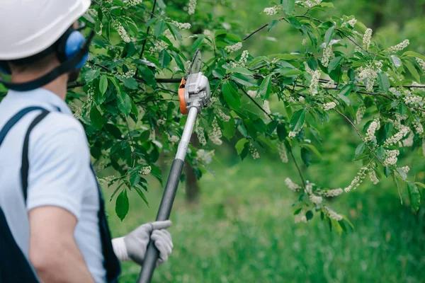 Expert Tree Service Janesville for Storm Damage and Emergency Cleanup