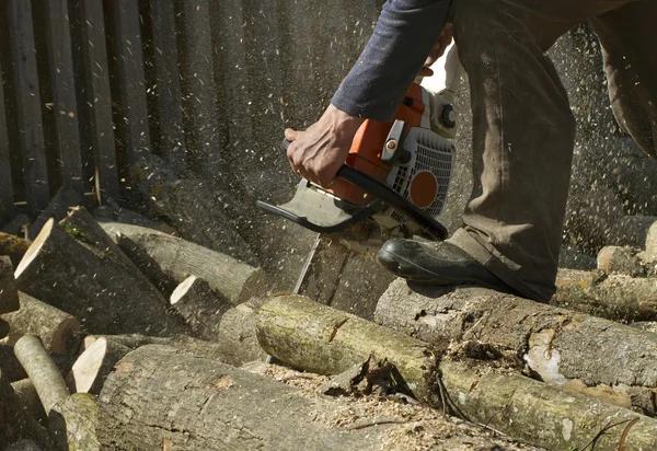 Affordable Tree Service Madison for Safer Outdoor Spaces